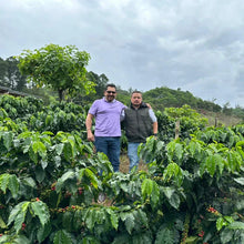 Load image into Gallery viewer, Costa Rica -Fatima Micromill