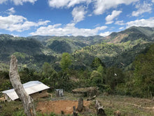 Load image into Gallery viewer, Colombia - Nariño Washed